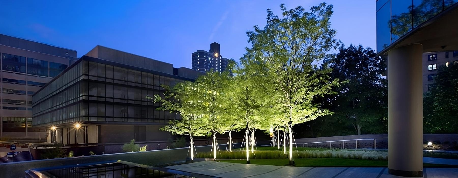 a man-made pond in a courtyard with trees and buildings in the background